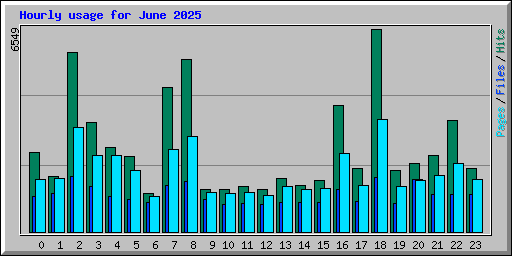 Hourly usage for June 2025