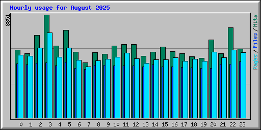 Hourly usage for August 2025