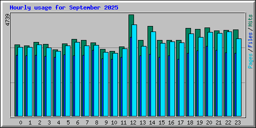 Hourly usage for September 2025