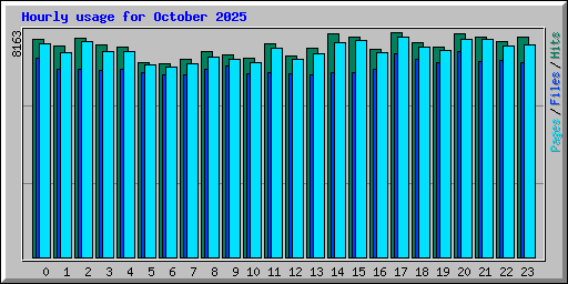 Hourly usage for October 2025