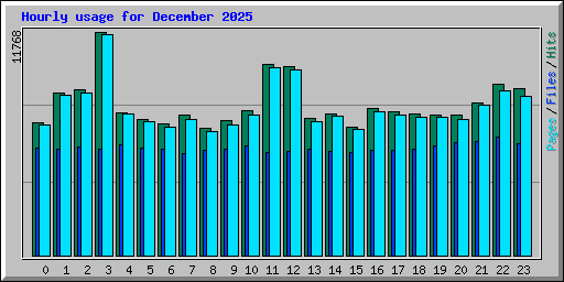 Hourly usage for December 2025